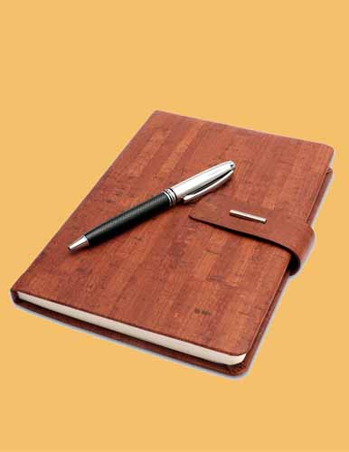 Diaries
