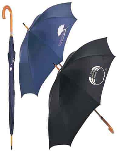 umbrella in delhi